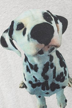 Concert Outfit Dalmatian Graphic T-Shirt