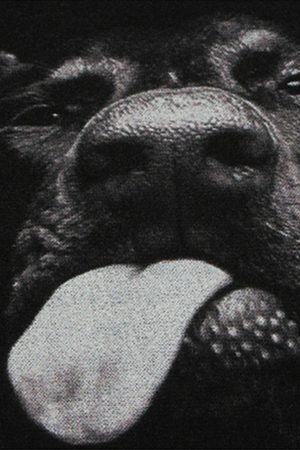 Concert Outfit Doberman Print Washed Vintage T-Shirt