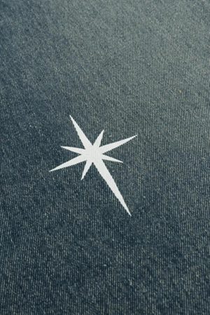 Concert Outfit Polaris Print Washed Straight Jeans