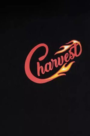 Concert Outfit Vintage Flame Print Sweatpants