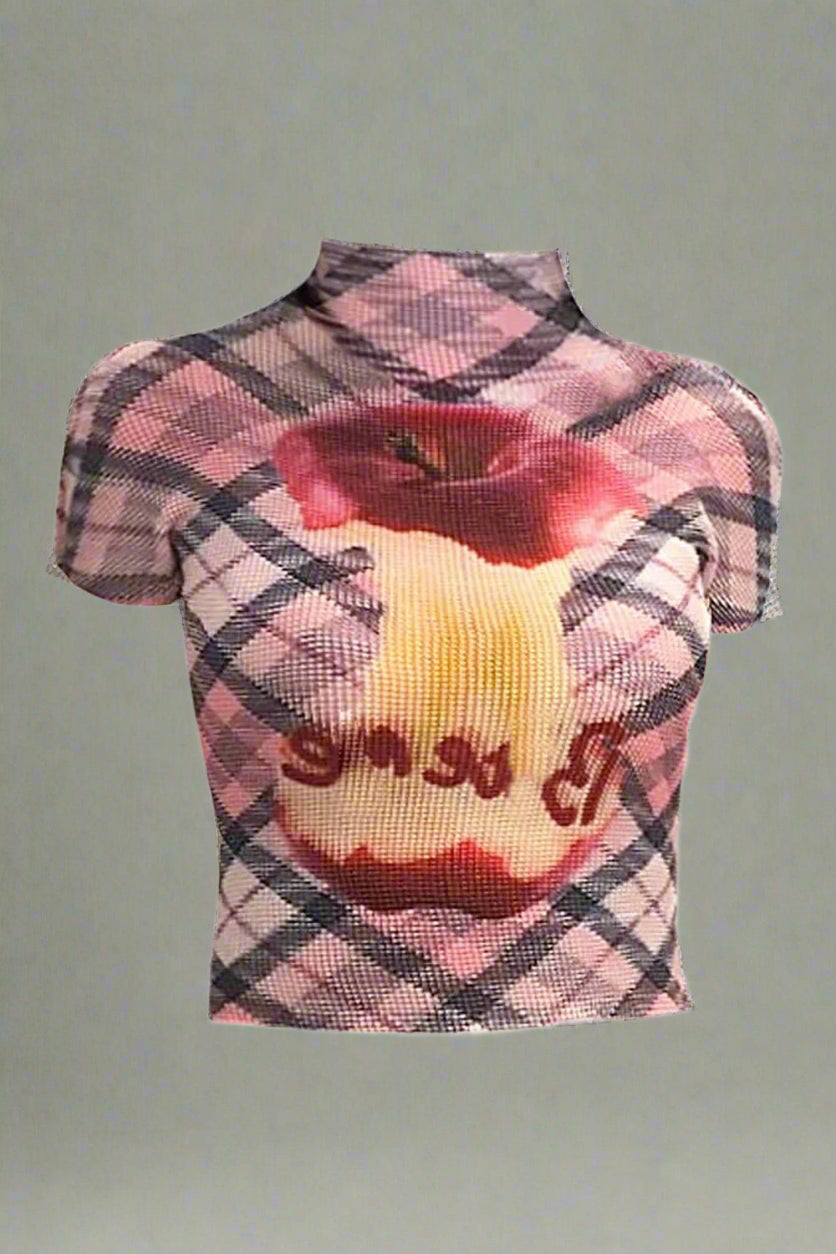 New Style Trends - Aesthetic Plaid Applecore Mesh Crop Top - Outfit Ideas