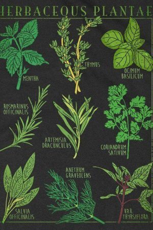 Style Core Aesthetics, New Style Trends - Herbaceous Plantae T-Shirt