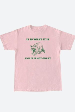 Style Core Aesthetics, New Style Trends - It Is What It Is Tee