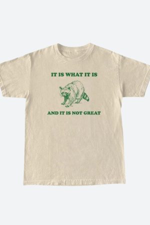 Style Core Aesthetics, New Style Trends - It Is What It Is Tee