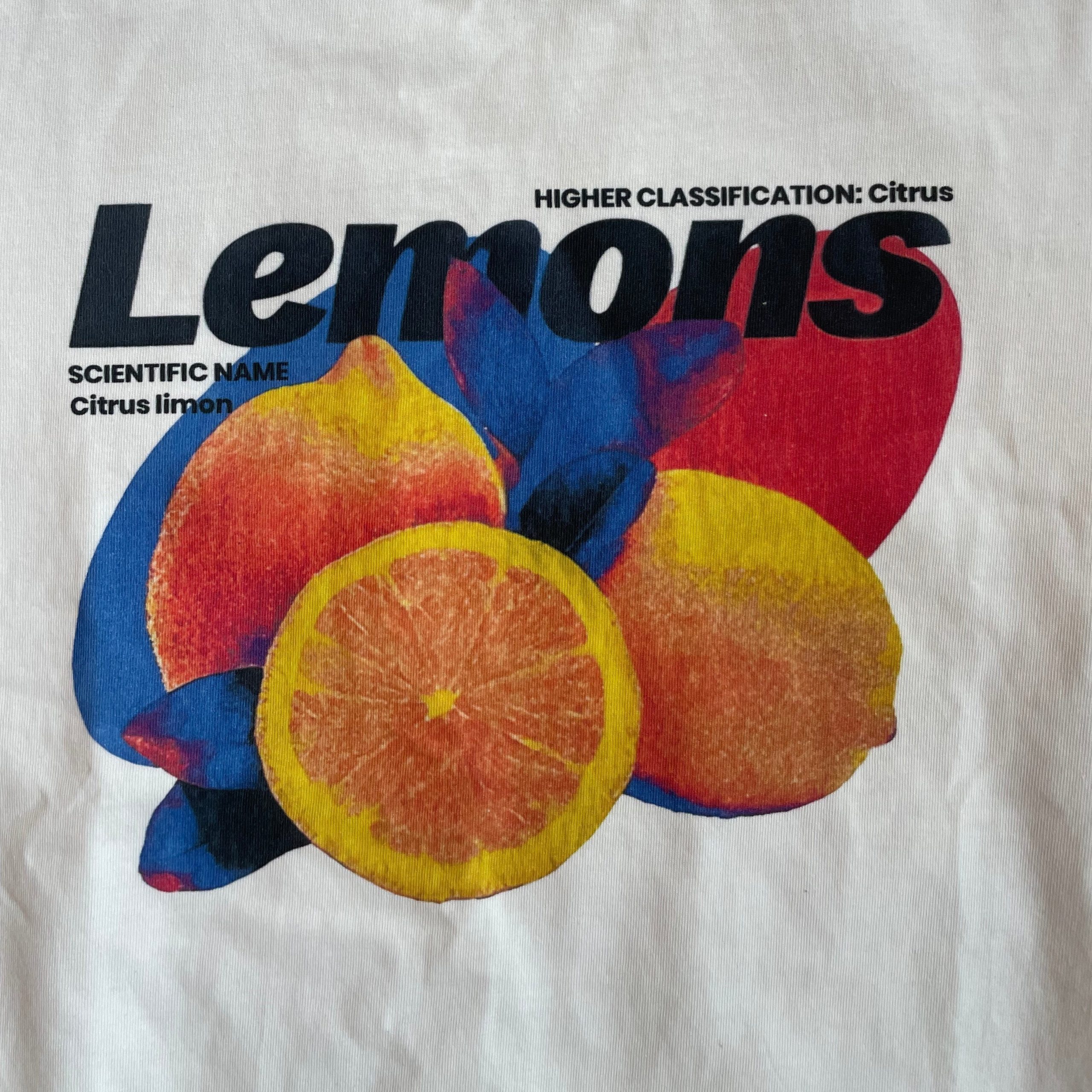 Style Core Aesthetics, New Style Trends - ”Lemons” T-Shirt Y2K Graphique Style Core Aesthetics, New Style Trends - ”Lemons” T-Shirt Y2K Graphique