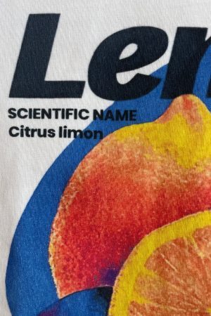 Style Core Aesthetics, New Style Trends - ”Lemons” T-Shirt Y2K Graphique