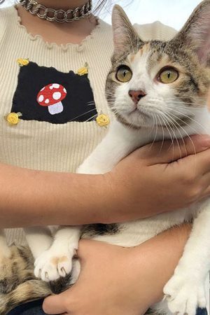 Style Core Aesthetics, New Style Trends - Mushroom Retro Aesthetic Tee