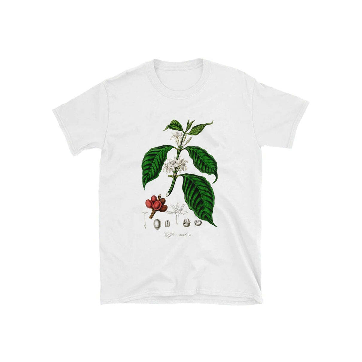Style Core Aesthetics, New Style Trends - Oversized Botanical Tee Style Core Aesthetics, New Style Trends - Oversized Botanical Tee