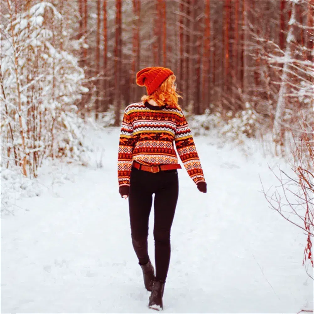 Style Core Aesthetics, New Style Trends - Vintage Fox Embroidered Christmas Sweater