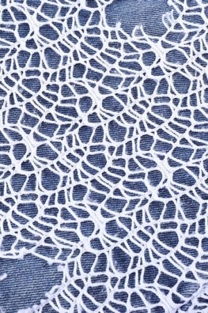 Style Core Aesthetics, New Style Trends - 'Webbed' Jeans