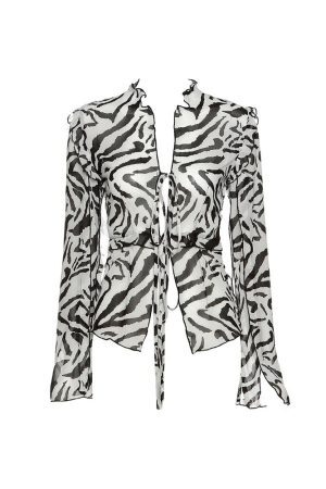 Style Core Aesthetics, New Style Trends - Zebra Print Mesh Top