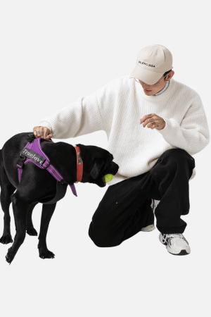 Style Core Aesthetics, New Style Trends Chunky Knit Sweater