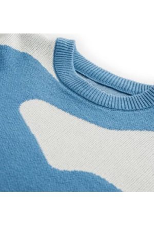 Style Core Aesthetics, New Style Trends Cow Pattern Color Block Sweater