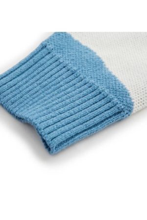 Style Core Aesthetics, New Style Trends Cow Pattern Color Block Sweater