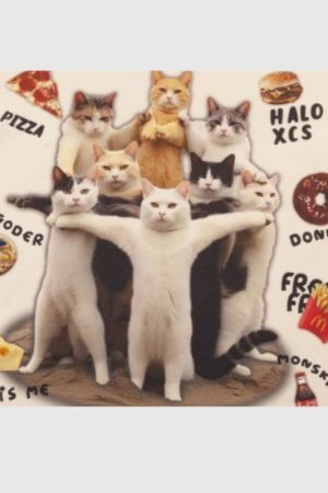 Style Core Aesthetics, New Style Trends Creative Spoof Cat Print T-shirt