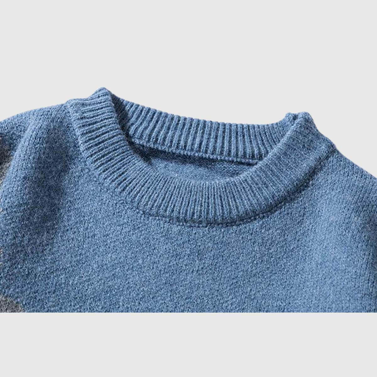 Style Core Aesthetics, New Style Trends Dog Graphic Two-Tone Sweater Style Core Aesthetics, New Style Trends Dog Graphic Two-Tone Sweater