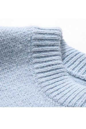 Style Core Aesthetics, New Style Trends Funny Goose Sweater