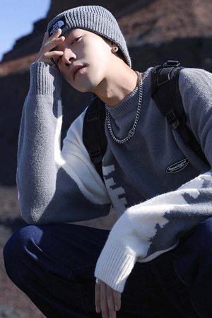 Style Core Aesthetics, New Style Trends Retro Color Block Sweater