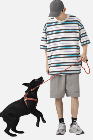 Style Core Aesthetics, New Style Trends Striped Vintage Tee